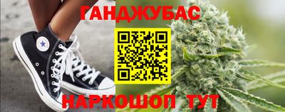 шишки Кингисепп