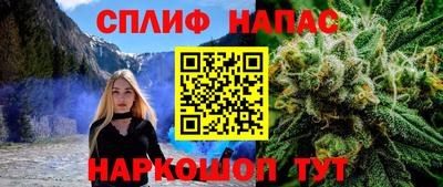 шишки Кингисепп