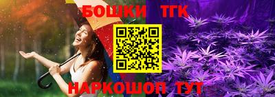 шишки Кингисепп