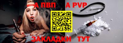 шишки Кингисепп
