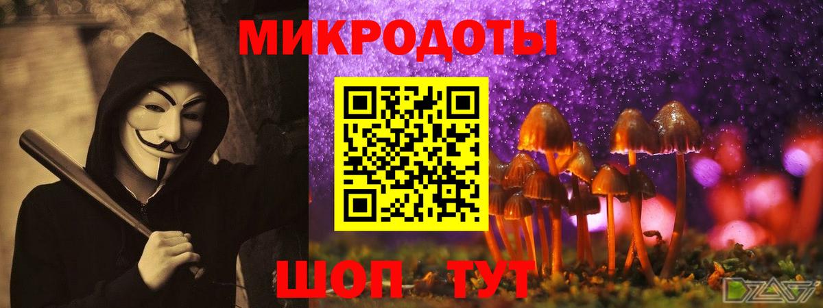 Чусовой  Псилоцибиновые грибы Cubensis  Псилоцибиновые грибы мухоморы  Вход с VPN 